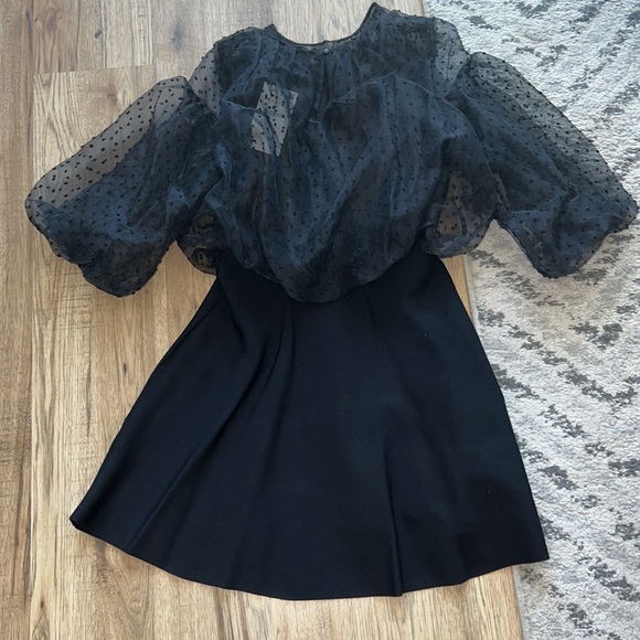 NEW! Zara Dotted Mesh Sleeve Dress - Picture 8 of 9